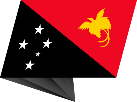 Papua New Guinea pin flag png