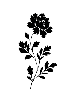 Flower and Leaves Outline on transparent background png