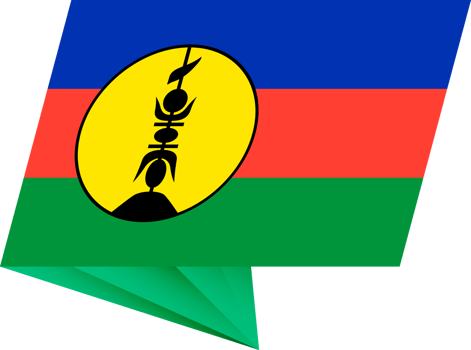 New Caledonia pin flag png