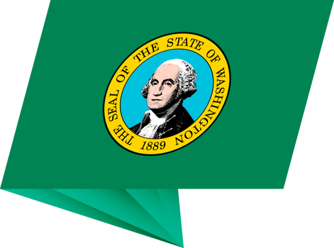 Washington pin flag png