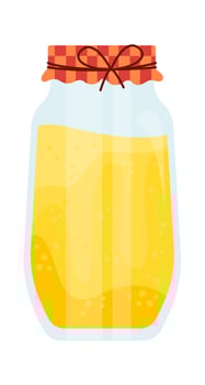 Glass jar with canned juice flat icon vector