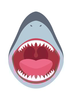 Shark jaws with sharp teeth flat icon Animal mouth vector