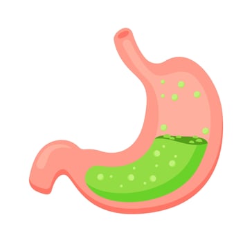 Intoxication in stomach flat icon Digestive human organ vector