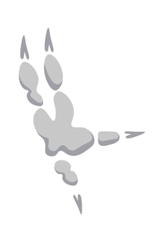 Bird footprint flat icon Steps and trails vector