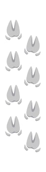 Moose footprint flat icon Animal steps and trails Illustration vector