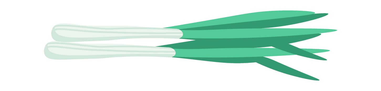 Green onion flat icon Fresh vegetable packaged food vector