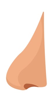 Nose flat icon Body part for piercing Illustration vector