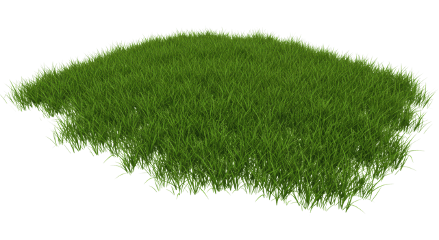 Lush green grass field nature 3d model outdoor environment aerial view natural landscape png