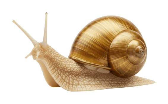 Golden snail crawling on surface nature scene close-up photography tranquil environment png