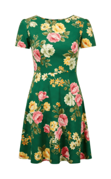 Floral dress appeal fashion showcase apparel indoor studio close-up view feminine style inspiration png