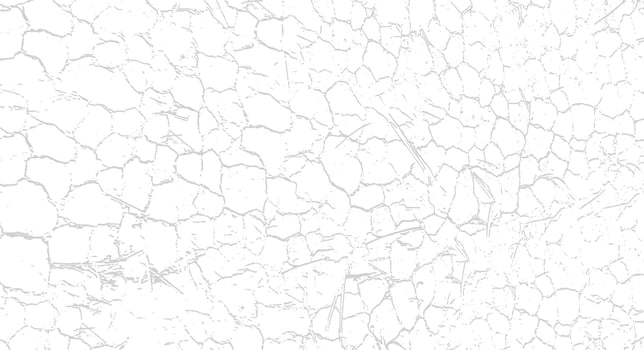 Cracked, dry, and aged natural textures, old wood, grunge wall, and tree bark surfaces vector