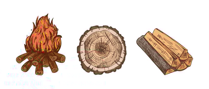 Hand drawn vintage sketch of campfire, tree stump and firewood logs in colored rustic engraved forest style vector