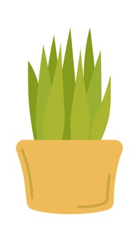 Snake plant in ceramic pot flat icon Houseplant Home gardening vector