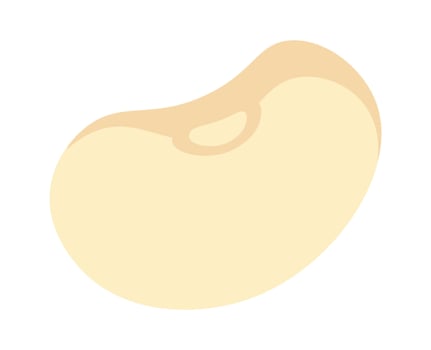 Soybean plant flat icon Agriculture Organic vegetable Flat Illustration vector