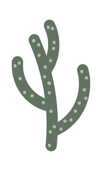 Plant for terrarium Houseplant decor element vector