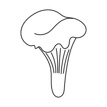 Chanterelle outline mushroom. autumn mushroom. vector