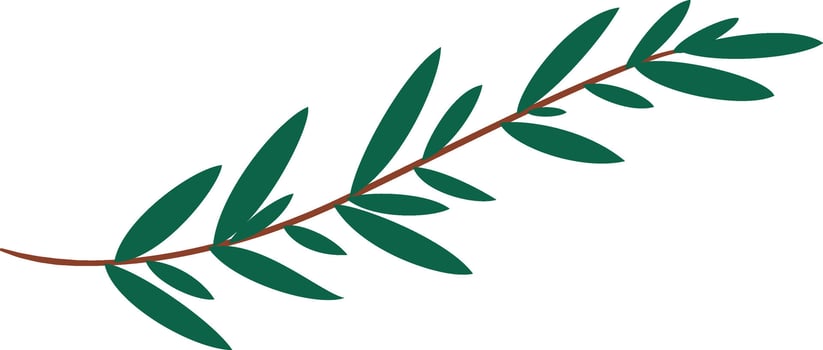 Green olive branch with leaves extending gracefully on a white background, evoking themes of peace, victory, and natural beauty, ideal for various design projects vector