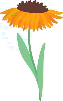 Vibrant orange flower featuring a dark center and lush green leaves, growing gracefully against a white background, creating a simple yet beautiful illustration of nature's elegance vector
