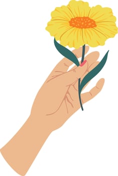 Hand gently holding a yellow flower with delicate green leaves, celebrating nature's beauty and the simple joy of giving or receiving a blossom vector