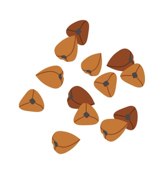 Buckwheat seeds flat icon Plant cultivation Agriculture Flat Illustration vector