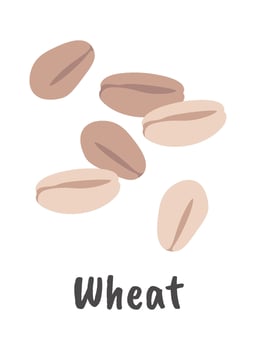 Wheat grain flat icon Cereal grain Agriculture Hand Drawn Icon vector