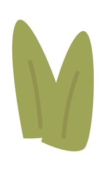 Microgreen for asian food decor flat icon Flat Illustration vector