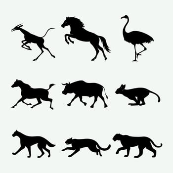 Zooming Wildlife Silhouettes vector