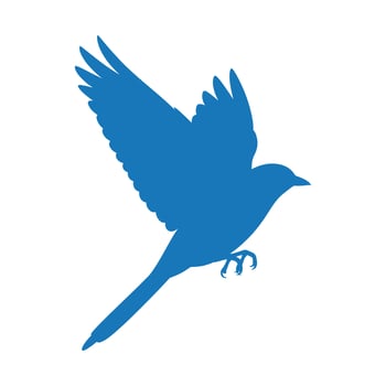 Blue Bird Silhouette in Flight with Extended Tail Feathers. vector