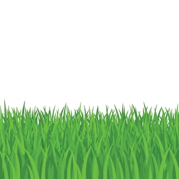 Lush Green Grass Blades Nature Border Illustration. vector