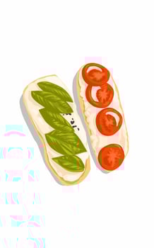 Delicious oval pizza filled with basil Leaves tomato slice chesse ketchup sauce vector
