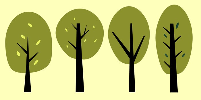 Four trees with leaves on a yellow background vector