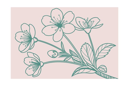 Teal outline daisies blossoms on dusty pink flower floral vector
