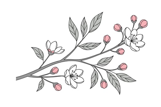 Delicate pink flower buds blossoms on grey branches nature vector