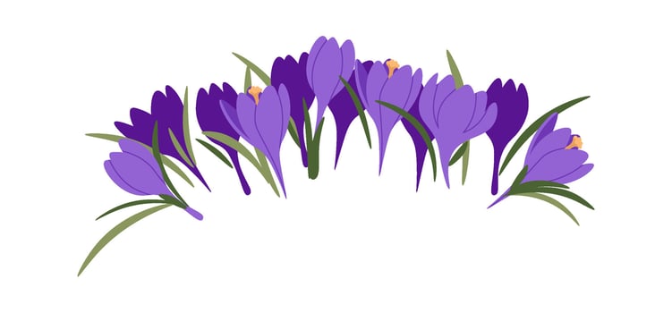 Bouquet with bright purple crocus flat icon vector