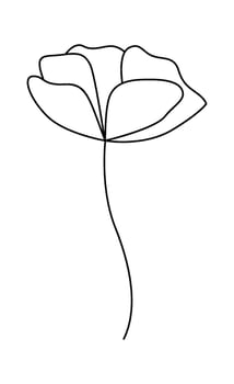 Wildflower line art Contemporary floral design Illustration vector
