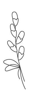 Willow branch line art Spring flowers Contemporary design vector