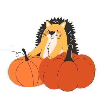 Cute hedgehog peeking out of pile of autumn pumpkins flat style childrens illustration perfect for thanksgiving harvest forest themed cards and posters vector
