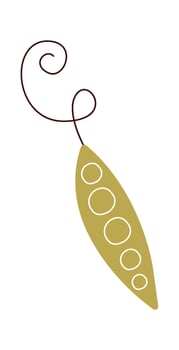 Abstract hand drawn beans flat icon vector