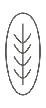 Leaf of dandelion line art Contemporary floral design vector