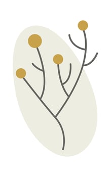 Dandelion flower seeds line art Contemporary floral design vector