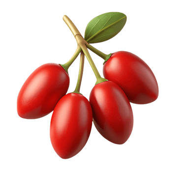 Bright red goji berries on a thin stem with green leaves png