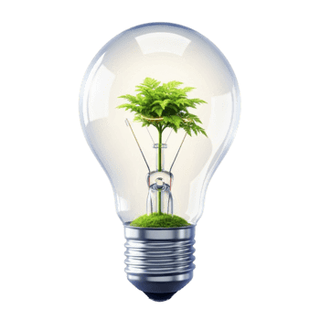 A vibrant green tree growing inside a clear glass light bulb symbolizing environmental innovation and sustainable energy solutions isolated on transparent background png