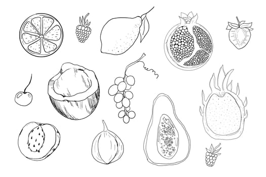 Sketch fruits, hand drawn tropical fruits and berries. Sweet fresh sliced kiwi, peach and pomegranate, cute cherry and strawberry. Pear with leaves. Coconut slice and half figs. vector