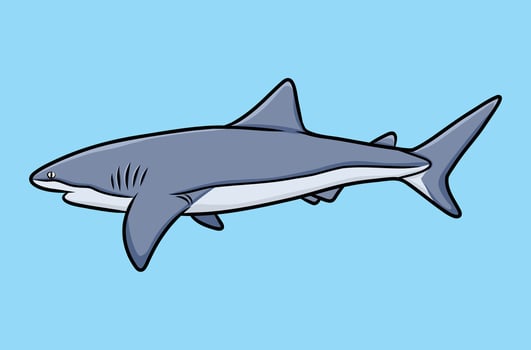 Handdrawn Illustration of a Shark vector