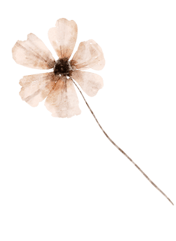 Watercolor Wildflower Vintage png