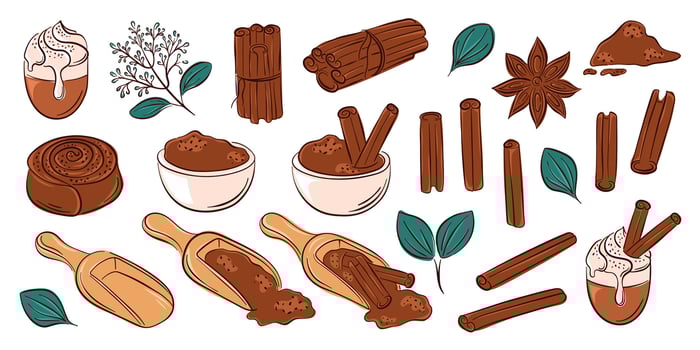 Illustration of spices and herbs vector