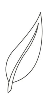 Monstera leaf of tropical plant in line art Illustration vector