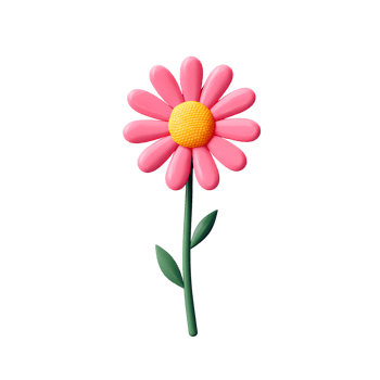 Pink Daisy Flower with Yellow Center on Transparent Background png
