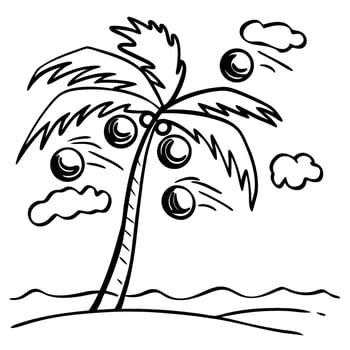Tropical coconut palm tree with coconuts on a beach, simple hand drawn black outline illustration, summer vacation motif vector