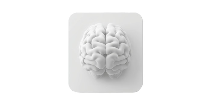 3D Brain Model Square Platform. Symbolizes Intelligence And Cognitive Function Isolated On Transparent Background png